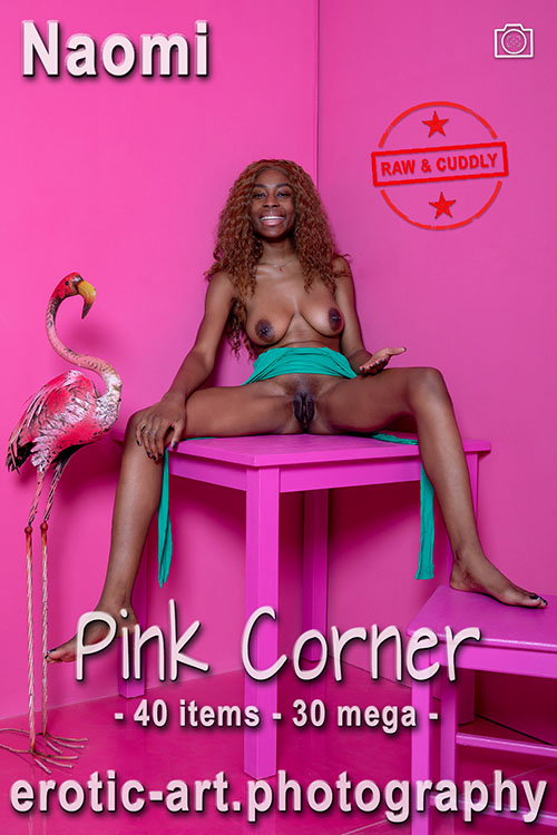 The Pink Series: Flamingo Bar. Actor: Naomi. Artist: Jay Gee. Production: Erotic Art Photography, EAP.